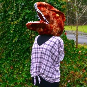 Torrid 2X Plaid Tie-Front Blouse